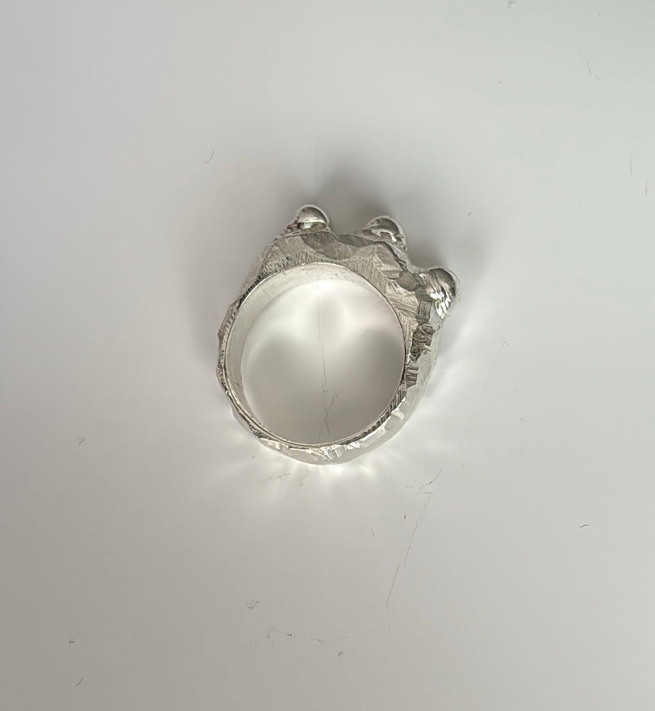 ANILLO CARAMBOLA