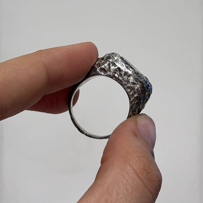 ANILLO NEPTUNO