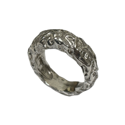 ANILLO CEREBRO PLATA